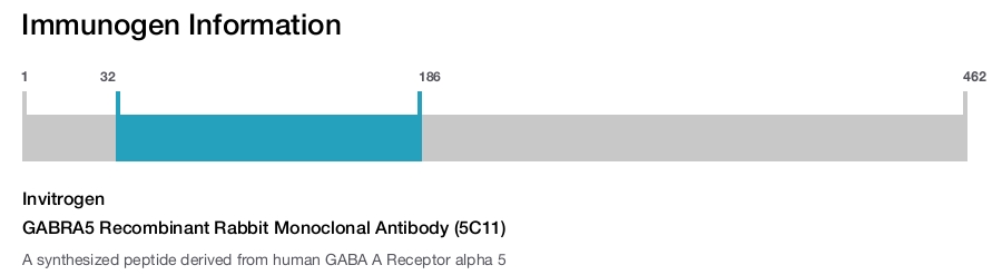 GABRA5 Recombinant Rabbit Monoclonal Antibody (5C11)