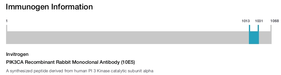 PIK3CA Recombinant Rabbit Monoclonal Antibody (10E5)
