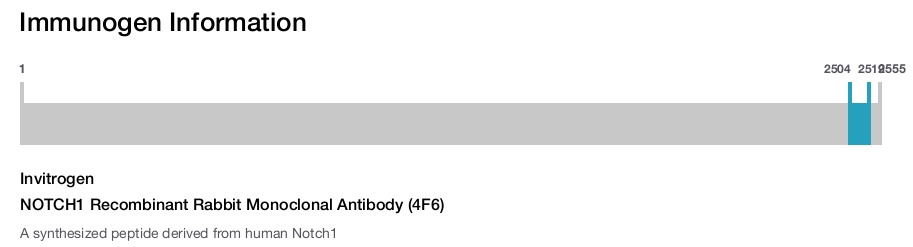 NOTCH1 Recombinant Rabbit Monoclonal Antibody (4F6)
