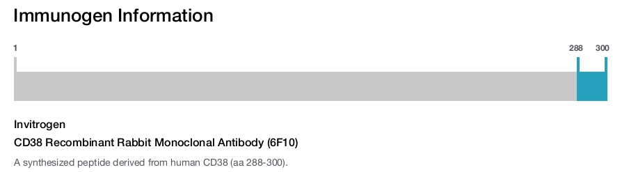 CD38 Recombinant Rabbit Monoclonal Antibody (6F10)