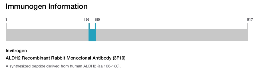 ALDH2 Recombinant Rabbit Monoclonal Antibody (3F10)