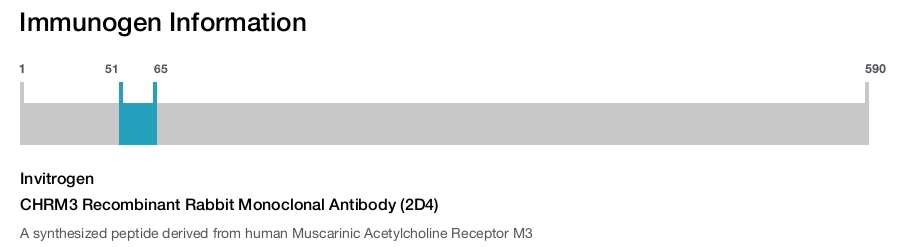 CHRM3 Recombinant Rabbit Monoclonal Antibody (2D4)