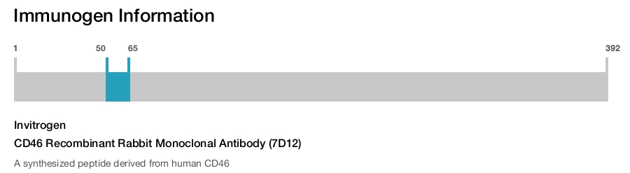 CD46 Recombinant Rabbit Monoclonal Antibody (7D12)