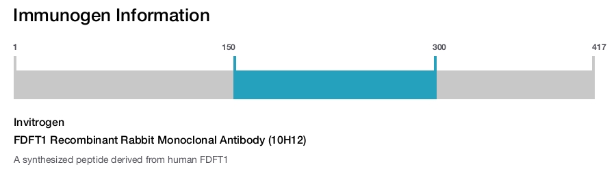 FDFT1 Recombinant Rabbit Monoclonal Antibody (10H12)