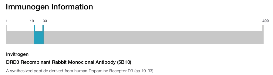 DRD3 Recombinant Rabbit Monoclonal Antibody (5B10)