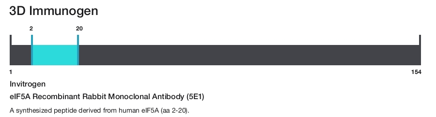 eIF5A Recombinant Rabbit Monoclonal Antibody (5E1)