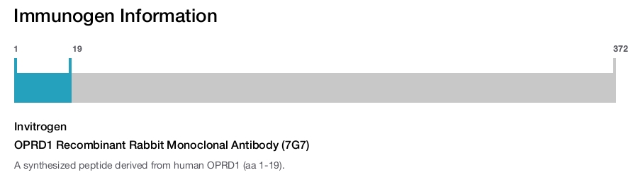 OPRD1 Recombinant Rabbit Monoclonal Antibody (7G7)