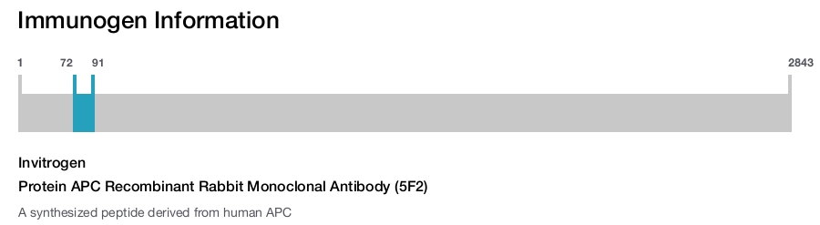 Protein APC Recombinant Rabbit Monoclonal Antibody (5F2)