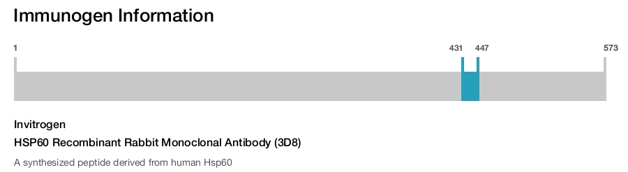 HSP60 Recombinant Rabbit Monoclonal Antibody (3D8)
