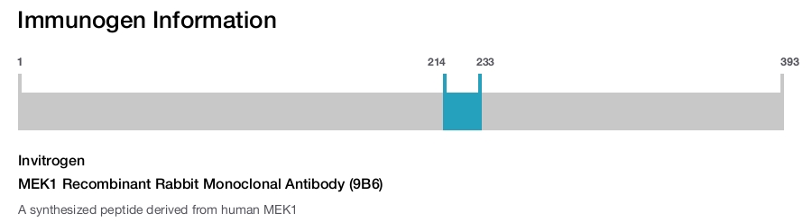 MEK1 Recombinant Rabbit Monoclonal Antibody (9B6)