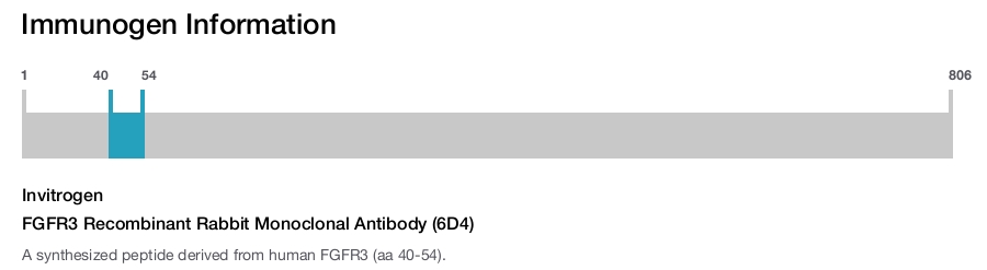 FGFR3 Recombinant Rabbit Monoclonal Antibody (6D4)