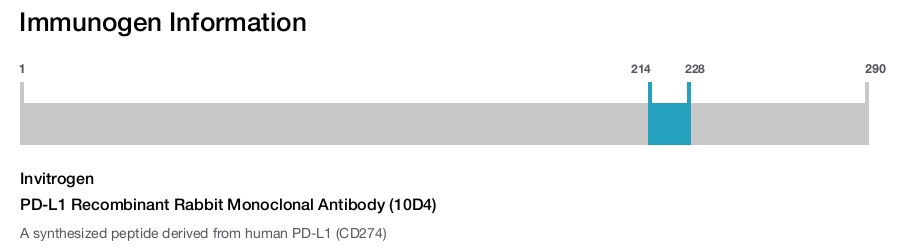 PD-L1 Recombinant Rabbit Monoclonal Antibody (10D4)