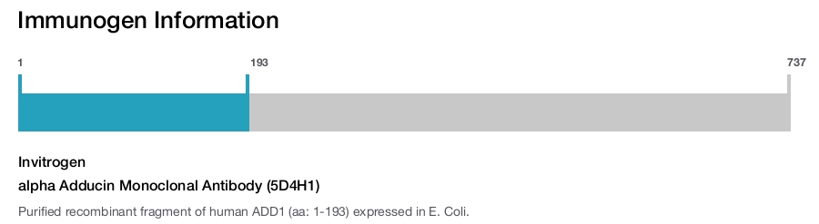 alpha Adducin Monoclonal Antibody (5D4H1)