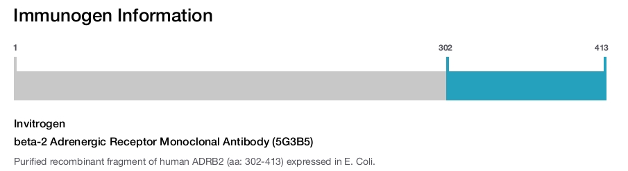 beta-2 Adrenergic Receptor Monoclonal Antibody (5G3B5)