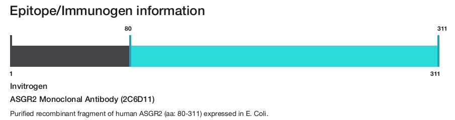 ASGR2 Monoclonal Antibody (2C6D11)