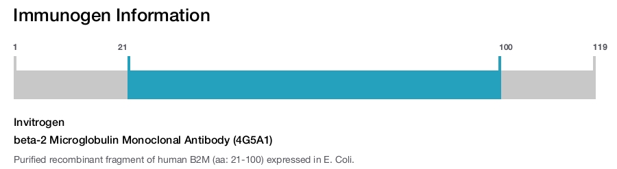 beta-2 Microglobulin Monoclonal Antibody (4G5A1)