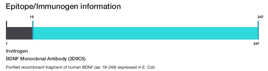 BDNF Monoclonal Antibody (3D9C5)