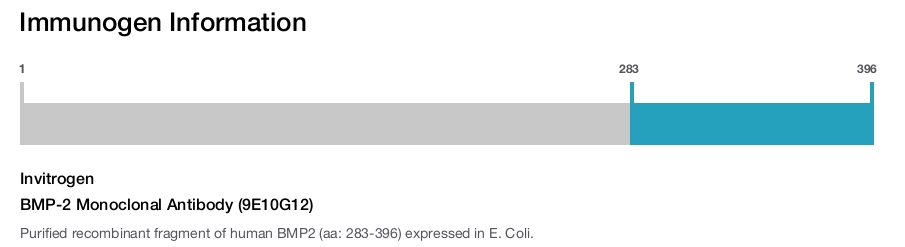 BMP-2 Monoclonal Antibody (9E10G12)