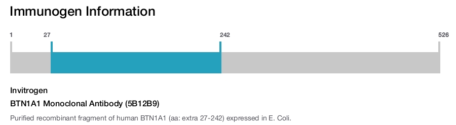 BTN1A1 Monoclonal Antibody (5B12B9)