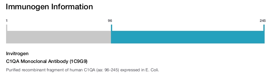 C1QA Monoclonal Antibody (1C9G9)