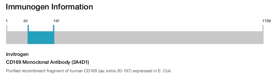 CD169 Monoclonal Antibody (2A4D1)