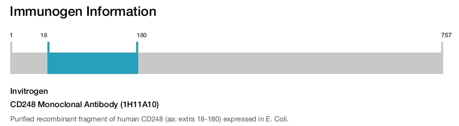 CD248 Monoclonal Antibody (1H11A10)