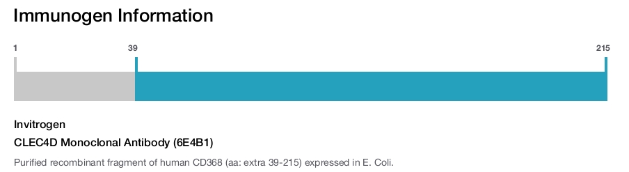 CLEC4D Monoclonal Antibody (6E4B1)