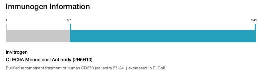 CLEC9A Monoclonal Antibody (2H6H10)