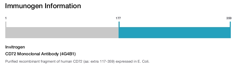 CD72 Monoclonal Antibody (4G4B1)