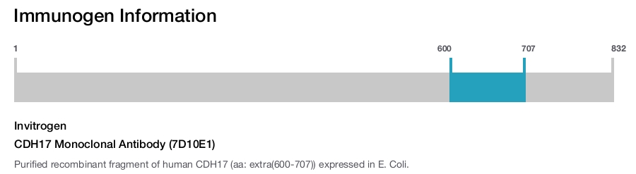 CDH17 Monoclonal Antibody (7D10E1)