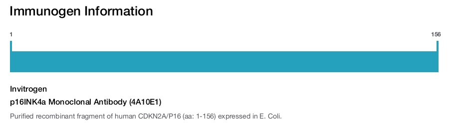 p16INK4a Monoclonal Antibody (4A10E1)