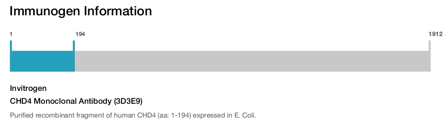 CHD4 Monoclonal Antibody (3D3E9)