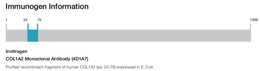 COL1A2 Monoclonal Antibody (4D1A7)