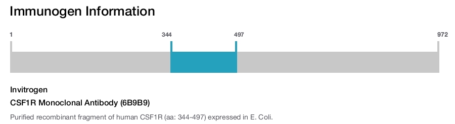 CSF1R Monoclonal Antibody (6B9B9)