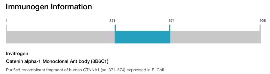 Catenin alpha-1 Monoclonal Antibody (8B6C1)