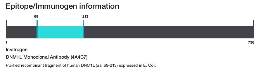 DNM1L Monoclonal Antibody (4A4C7)