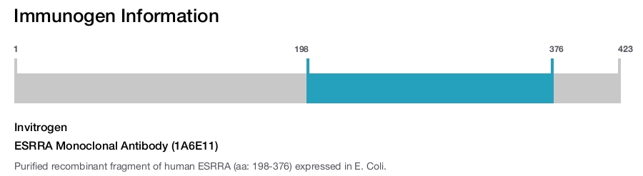 ESRRA Monoclonal Antibody (1A6E11)