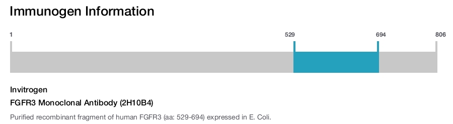FGFR3 Monoclonal Antibody (2H10B4)