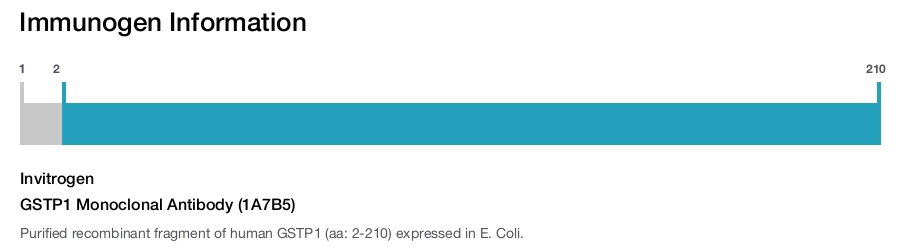 GSTP1 Monoclonal Antibody (1A7B5)