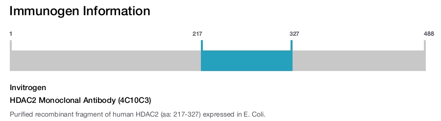 HDAC2 Monoclonal Antibody (4C10C3)
