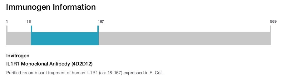 IL1R1 Monoclonal Antibody (4D2D12)