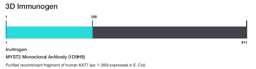 MYST2 Monoclonal Antibody (1D9H9)