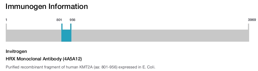 HRX Monoclonal Antibody (4A5A12)