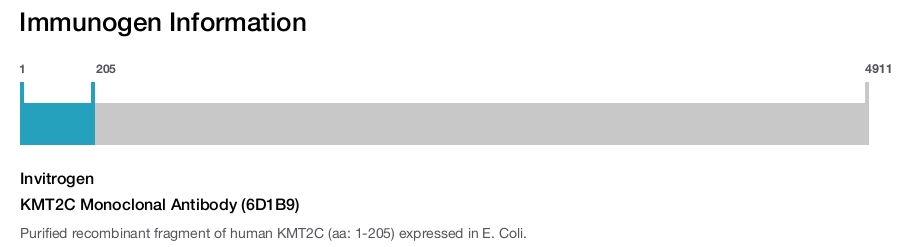 KMT2C Monoclonal Antibody (6D1B9)