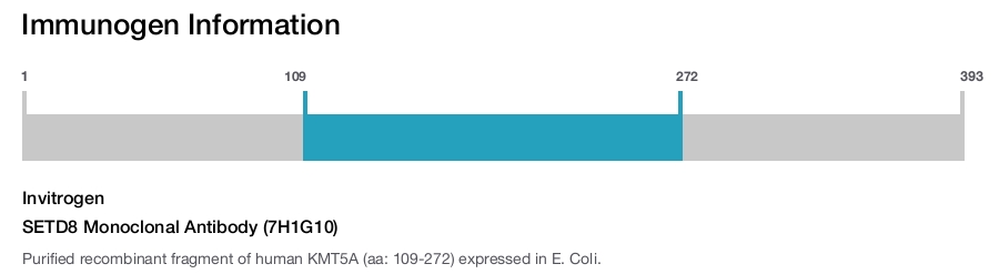 SETD8 Monoclonal Antibody (7H1G10)
