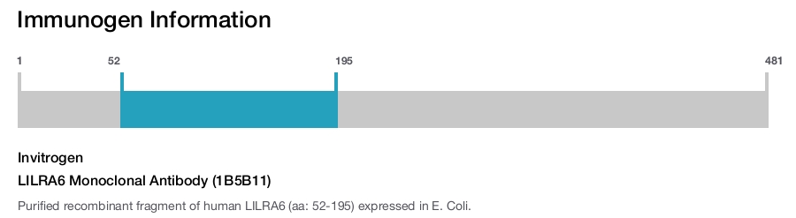 LILRA6 Monoclonal Antibody (1B5B11)