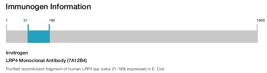 LRP4 Monoclonal Antibody (7A12B4)