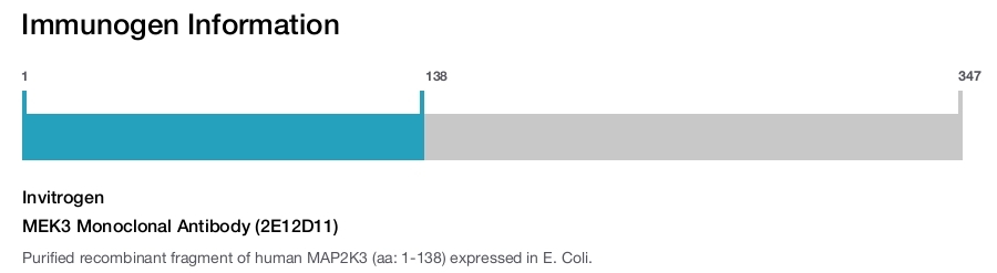 MEK3 Monoclonal Antibody (2E12D11)