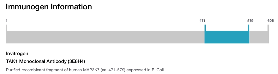 TAK1 Monoclonal Antibody (3E8H4)