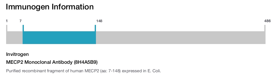 MECP2 Monoclonal Antibody (8H4A5B9)
